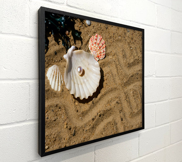 Sandy Pearl Treasure