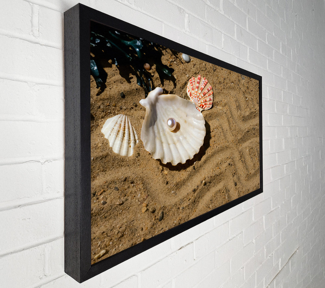  A Canvas Print of Sandy Pearl Treasure Canvas Wall Art
