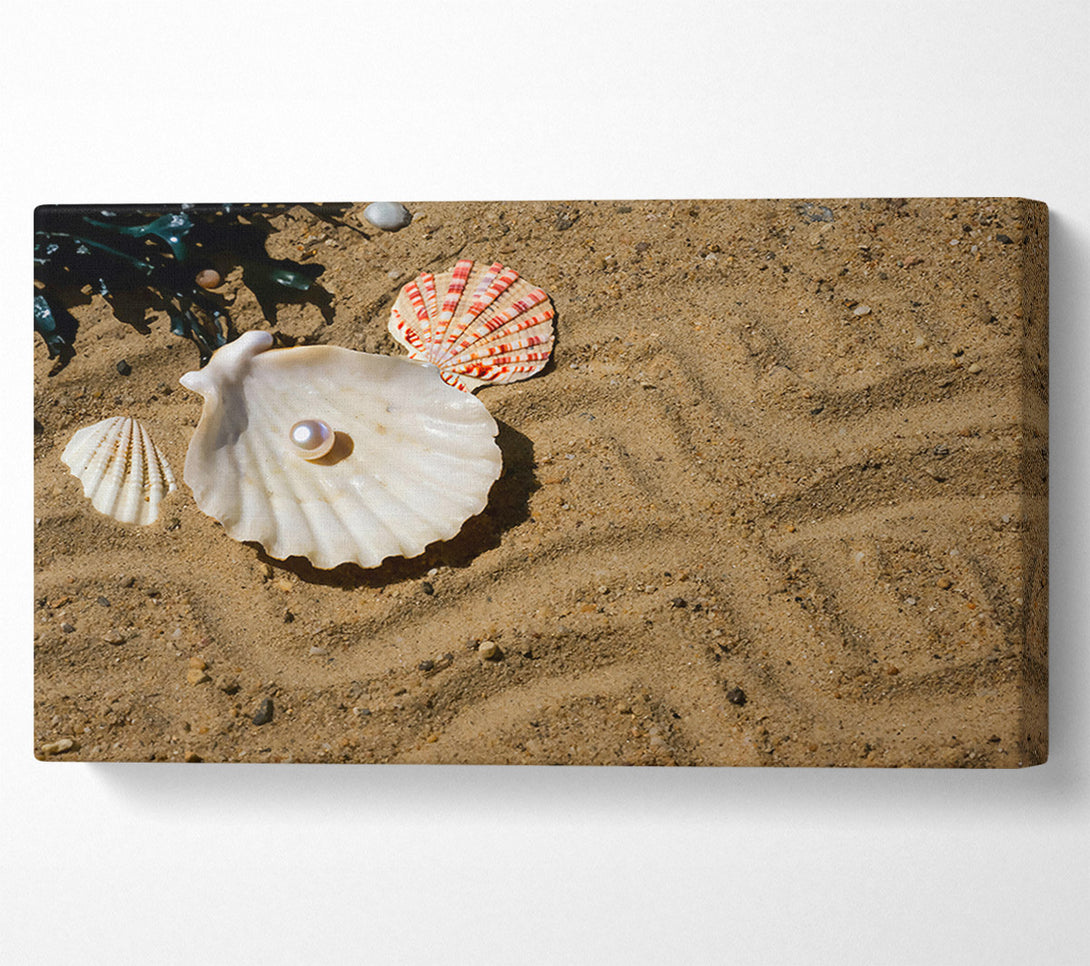  A Canvas Print of Sandy Pearl Treasure Canvas Wall Art