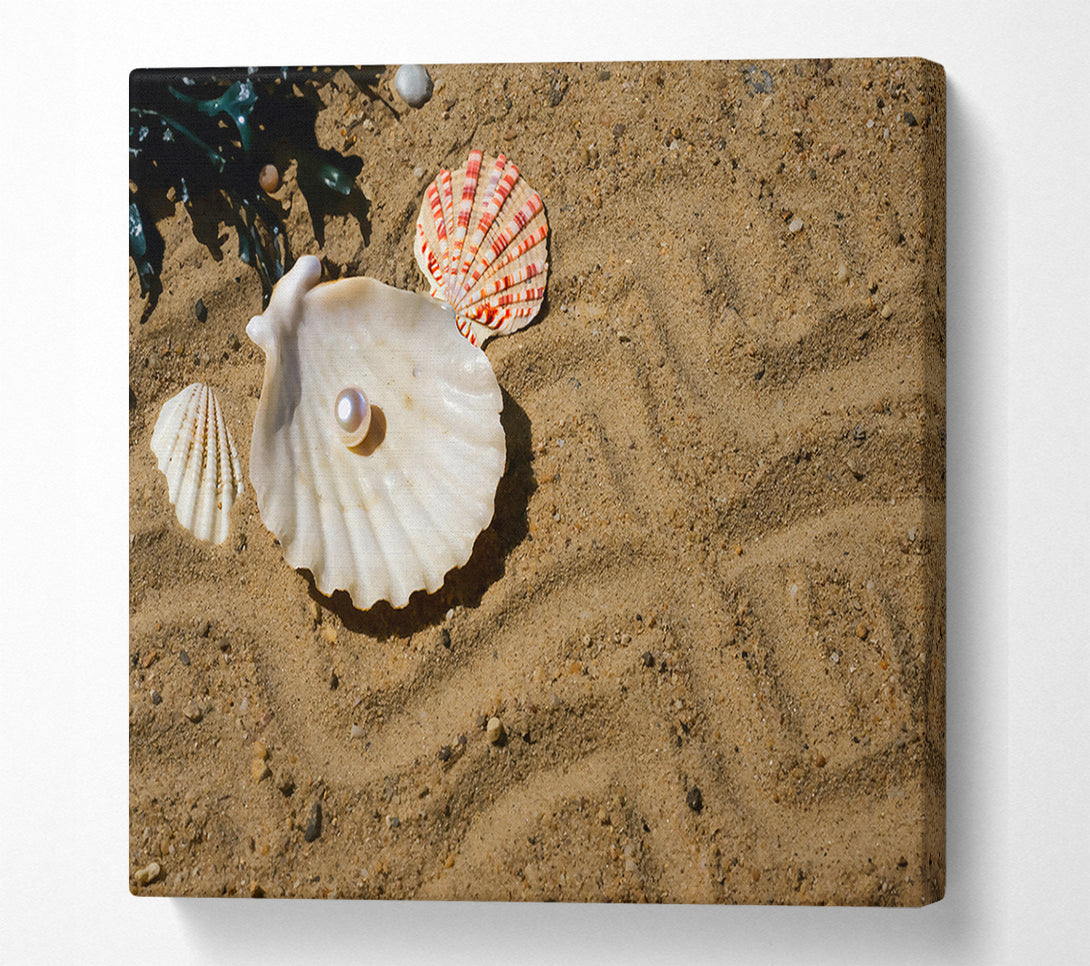  A Canvas Print of Sandy Pearl Treasure Canvas Wall Art