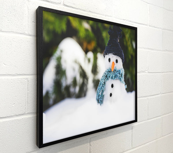 Blue Hatted Snowman
