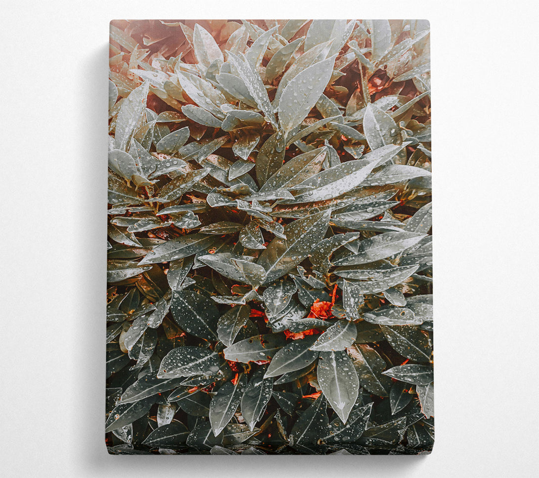  A Canvas Print of Emerald Dew Drops Canvas Wall Art