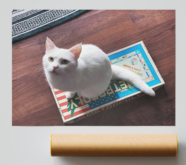 White Cat On Blue Box Print