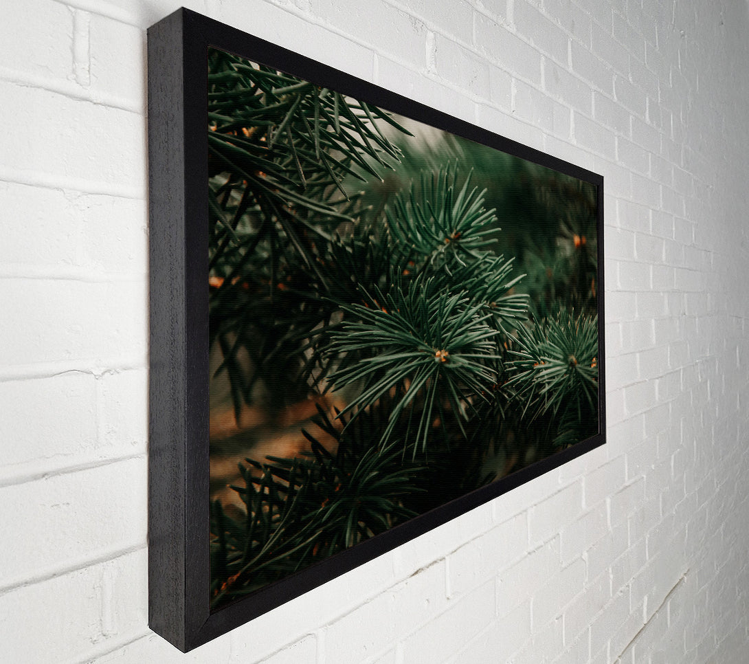  A Canvas Print of Emerald Pine Needles Canvas Art