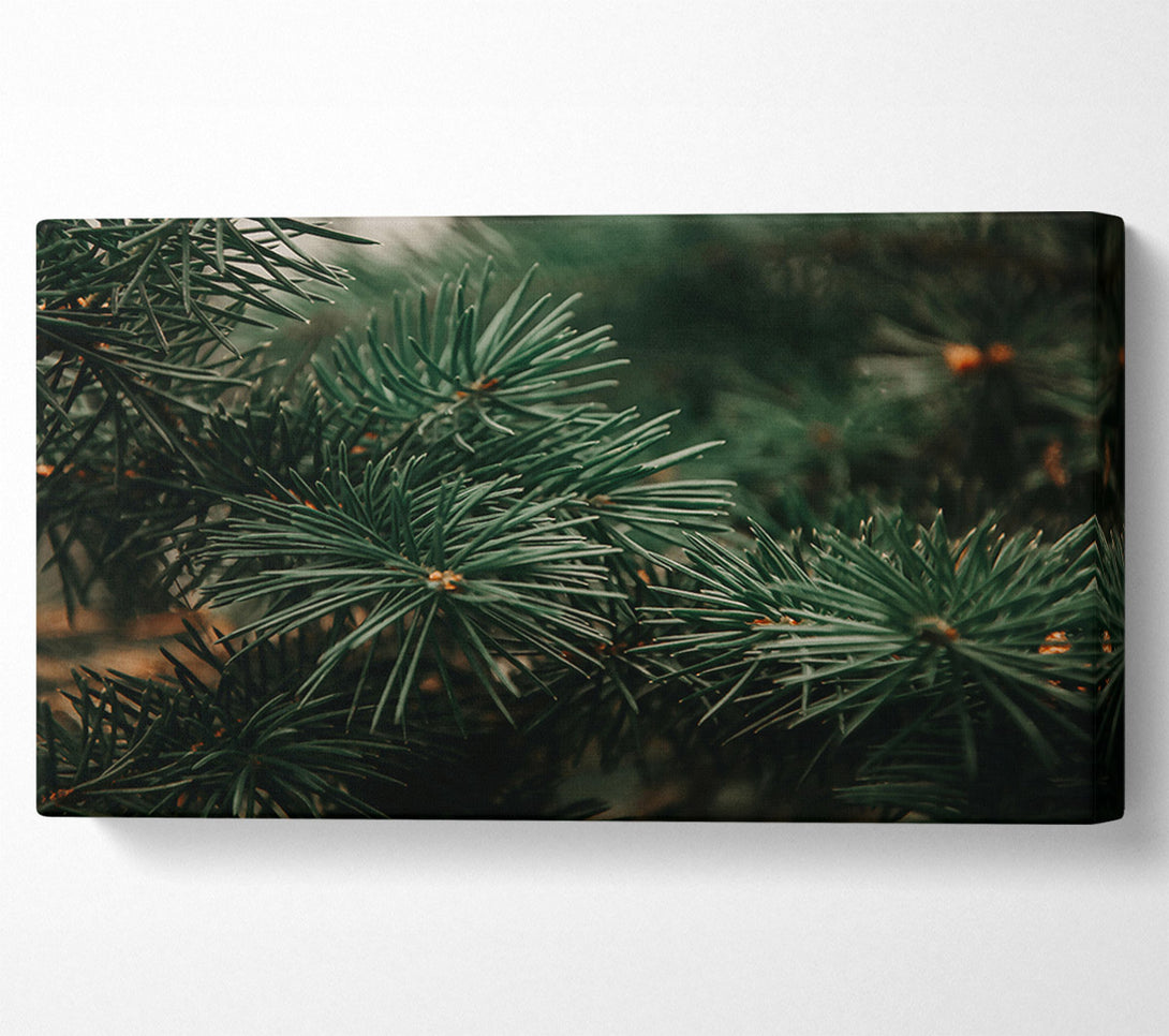  A Canvas Print of Emerald Pine Needles Canvas Art