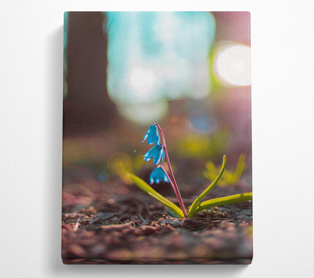  A Canvas Print of Azure Spring Bloom Canvas Wall Art