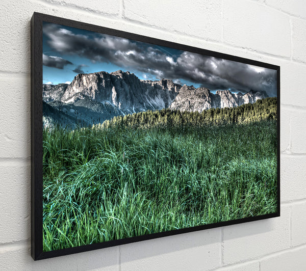 Green Mountain Meadow