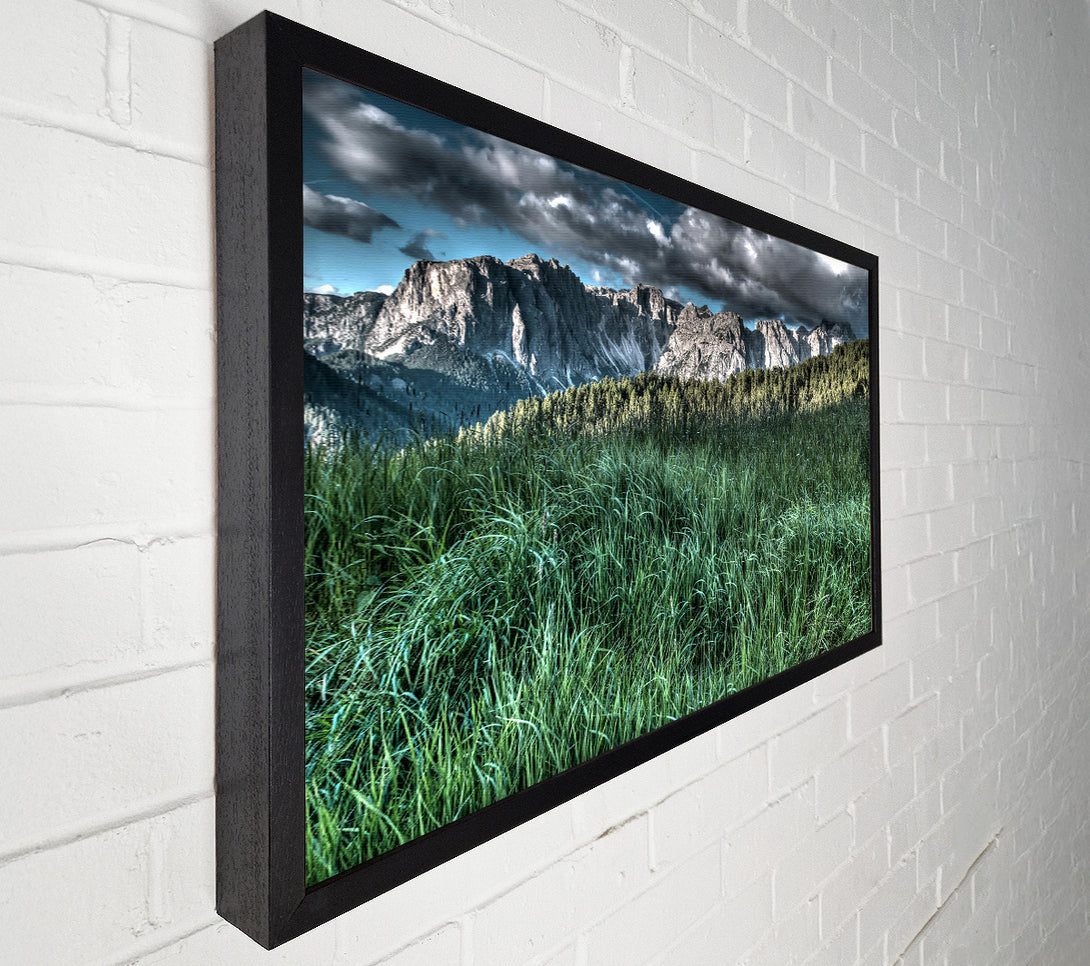  A Canvas Print of Green Mountain Meadow Canvas Art