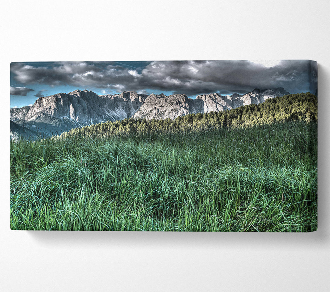  A Canvas Print of Green Mountain Meadow Canvas Art
