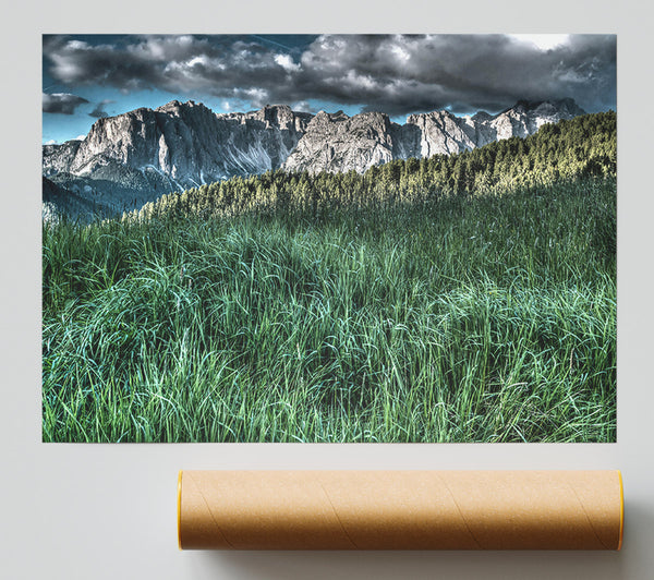 Green Mountain Meadow Print