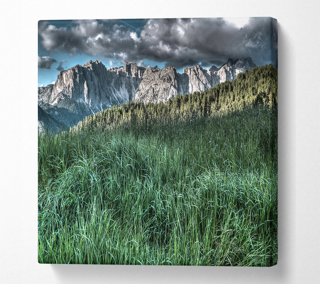  A Canvas Print of Green Mountain Meadow Canvas Art