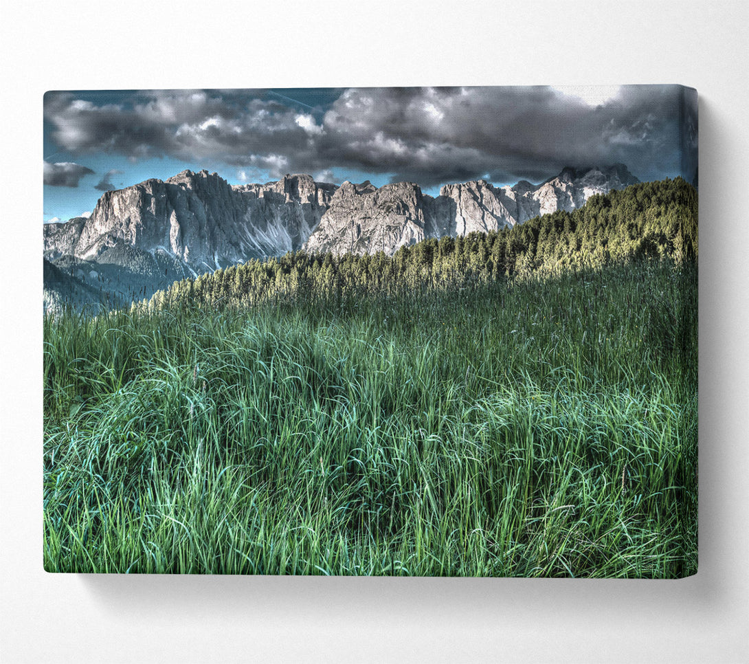  A Canvas Print of Green Mountain Meadow Canvas Art