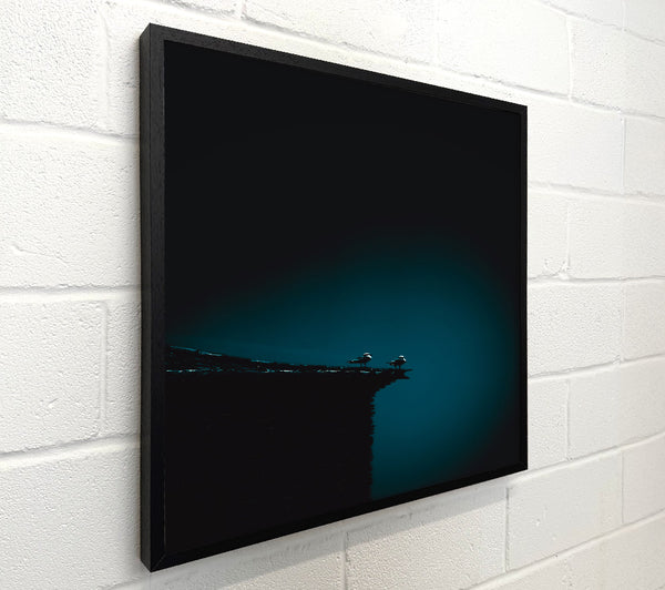 Teal Night Watch