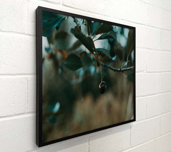 Teal Cherry Branch