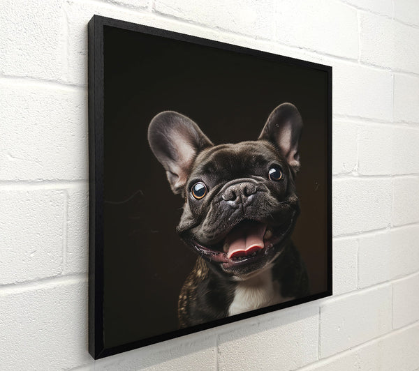 Black Frenchie Smile