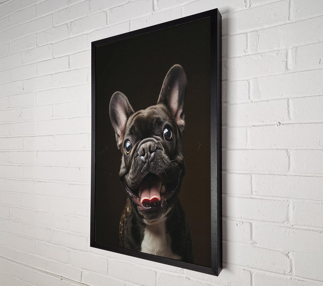  A Canvas Print of Black Frenchie Smile Canvas Wall Art