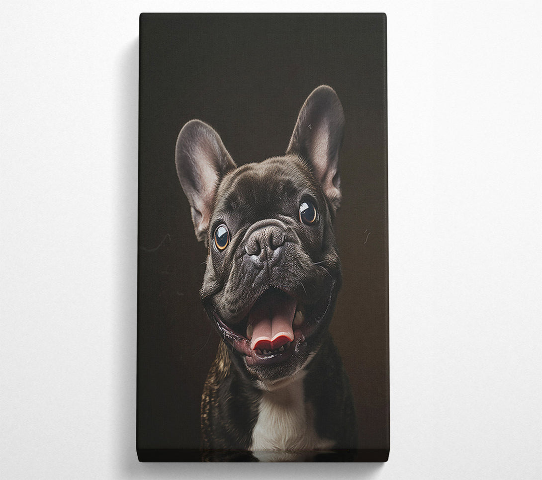  A Canvas Print of Black Frenchie Smile Canvas Wall Art