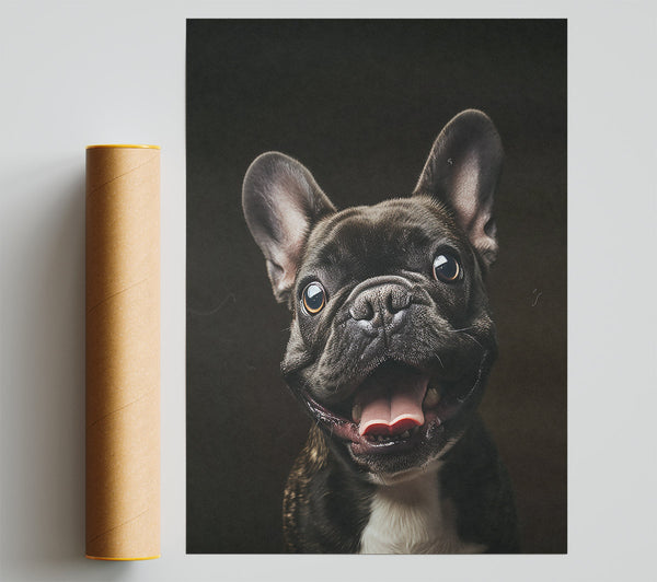 Black Frenchie Smile Poster