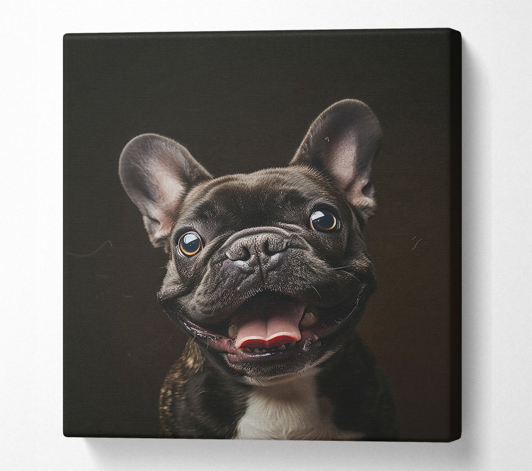  A Canvas Print of Black Frenchie Smile Canvas Wall Art