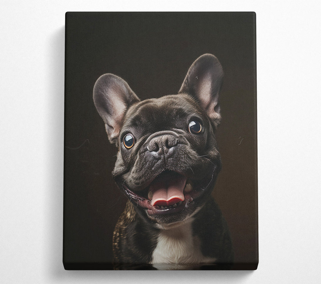  A Canvas Print of Black Frenchie Smile Canvas Wall Art
