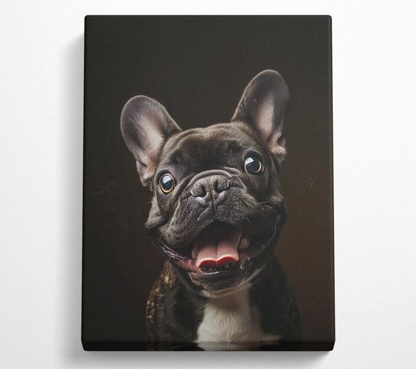  A Canvas Print of Black Frenchie Smile Canvas Wall Art