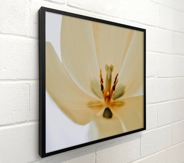 Ivory Petal Embrace