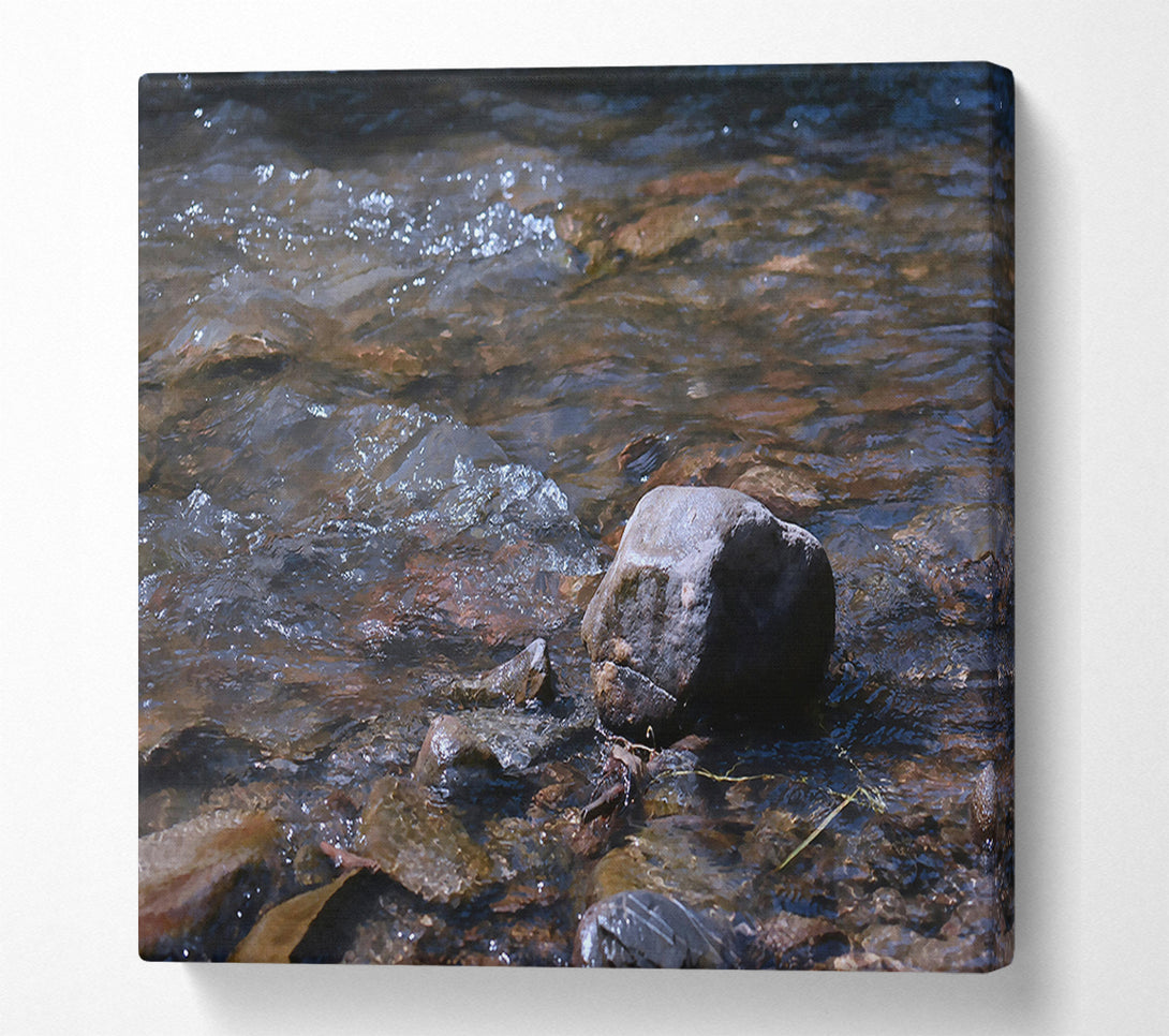  A Canvas Print of Grey Stream'S Reflection Canvas Art
