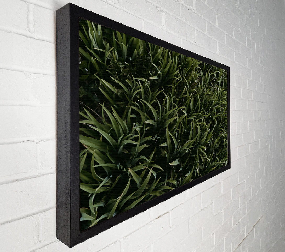  A Canvas Print of Emerald Green Blades Canvas Wall Art