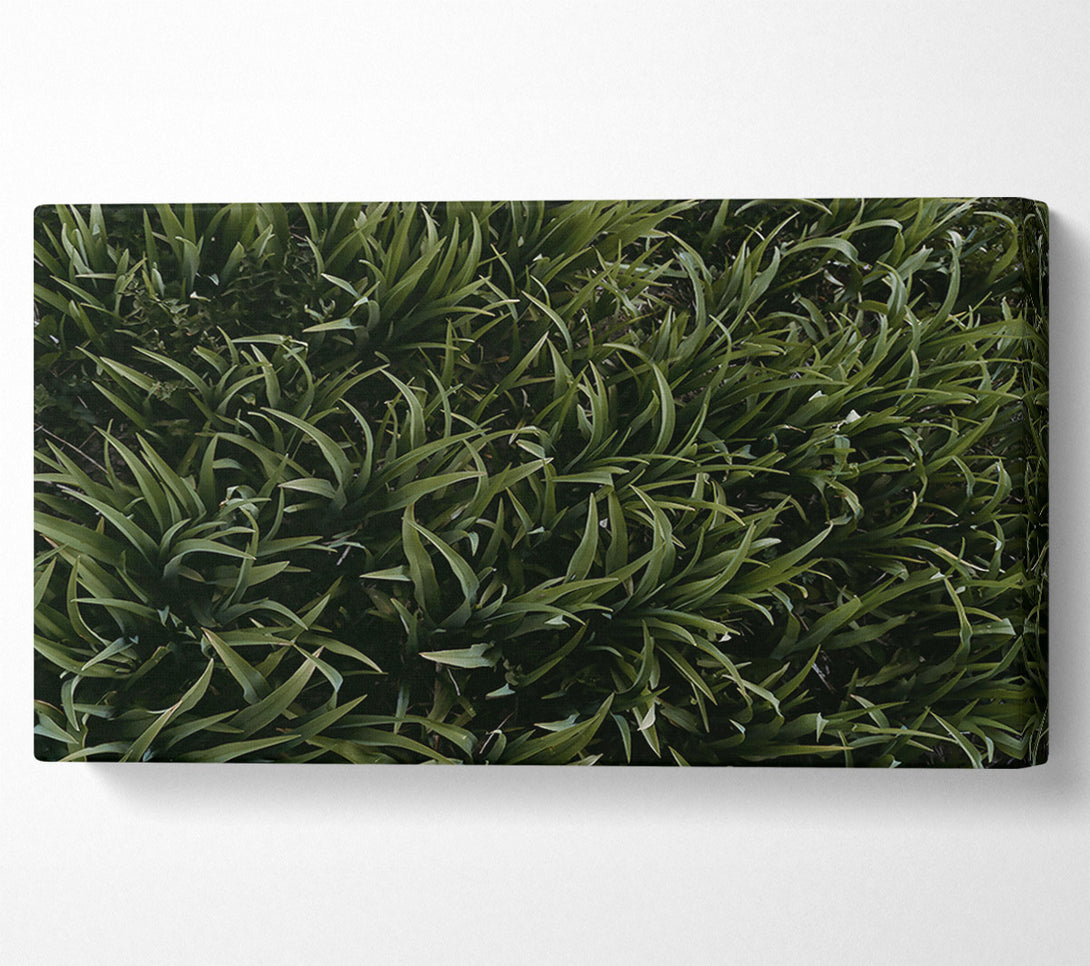  A Canvas Print of Emerald Green Blades Canvas Wall Art