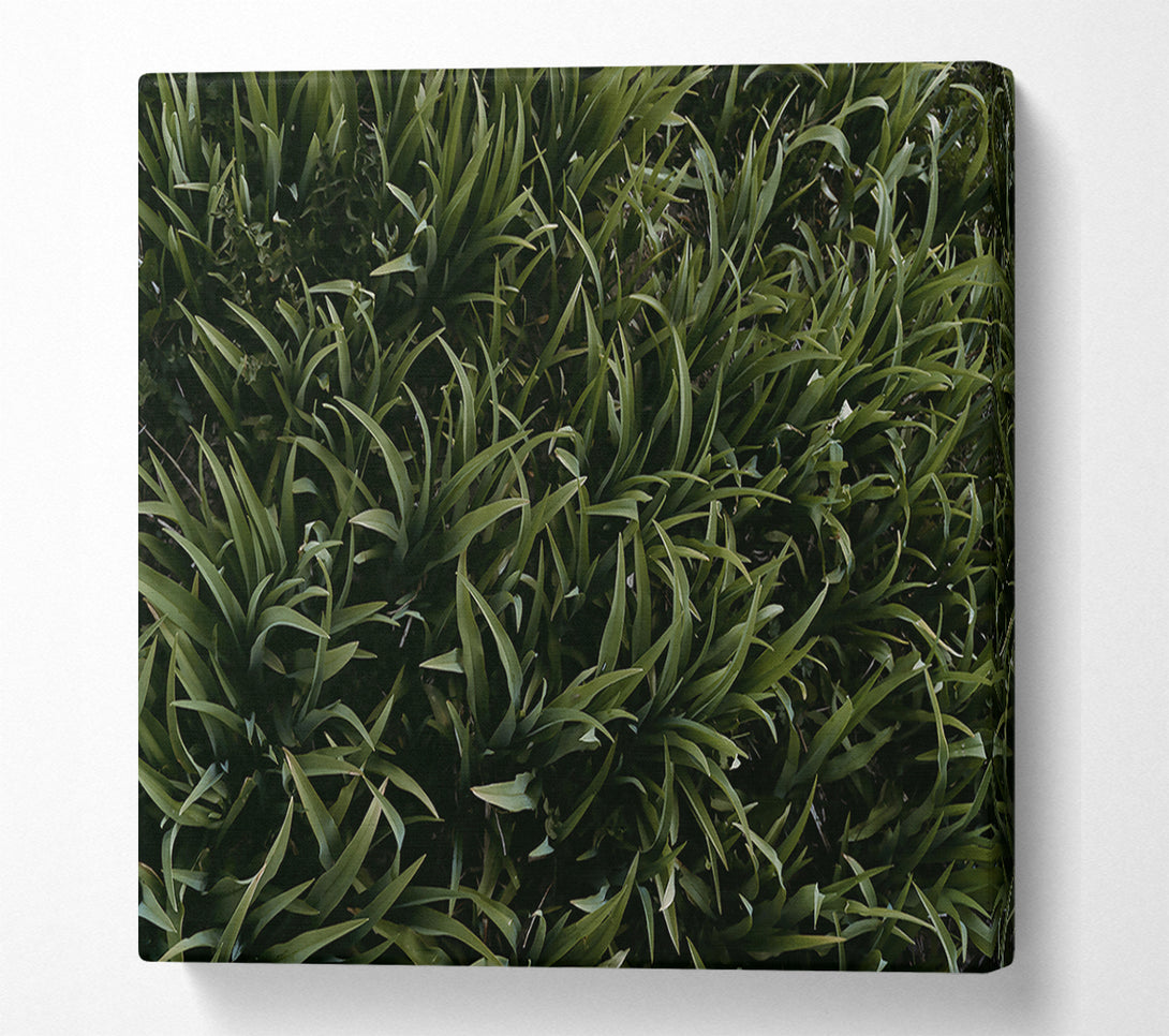 A Canvas Print of Emerald Green Blades Canvas Wall Art