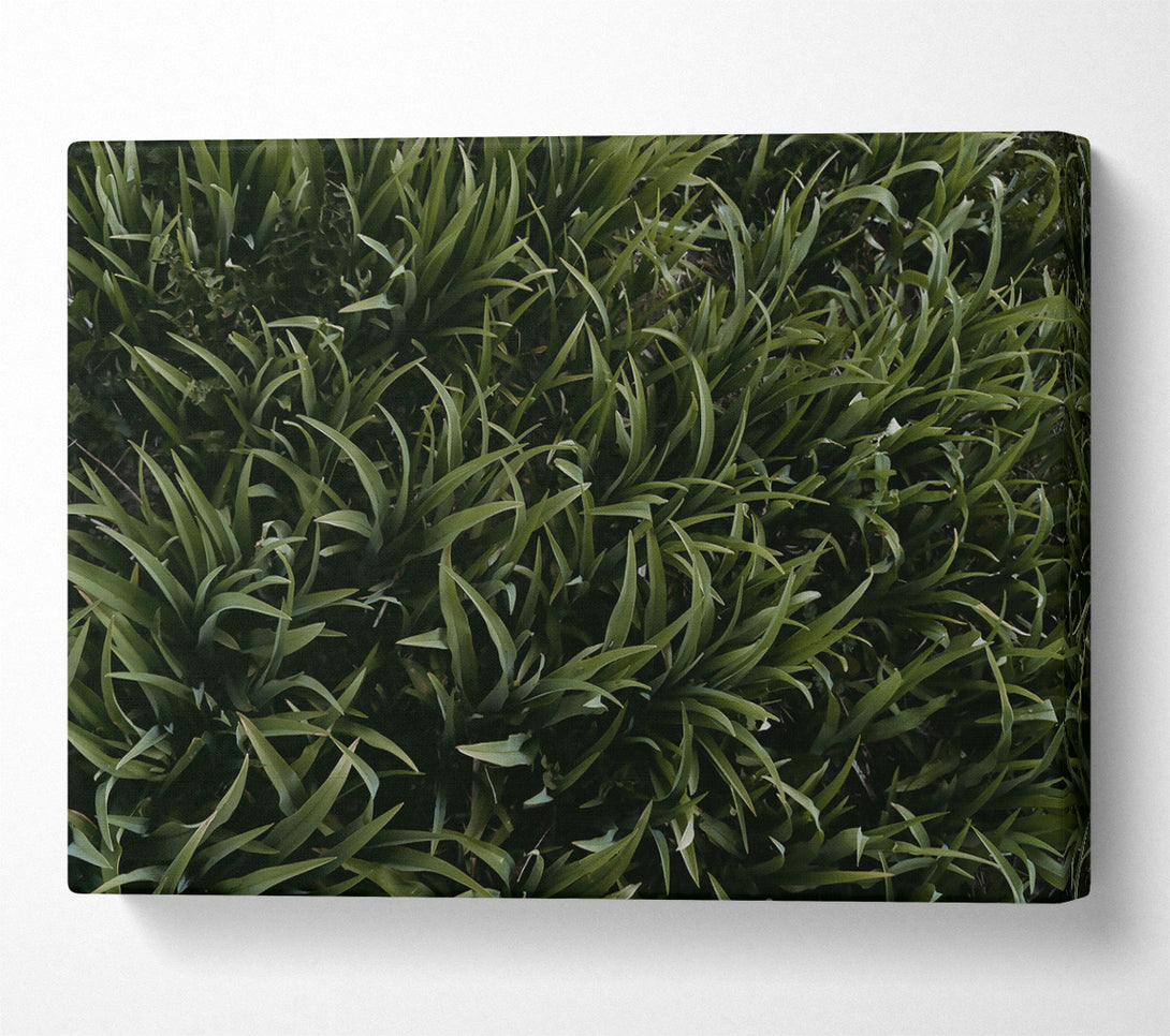  A Canvas Print of Emerald Green Blades Canvas Wall Art