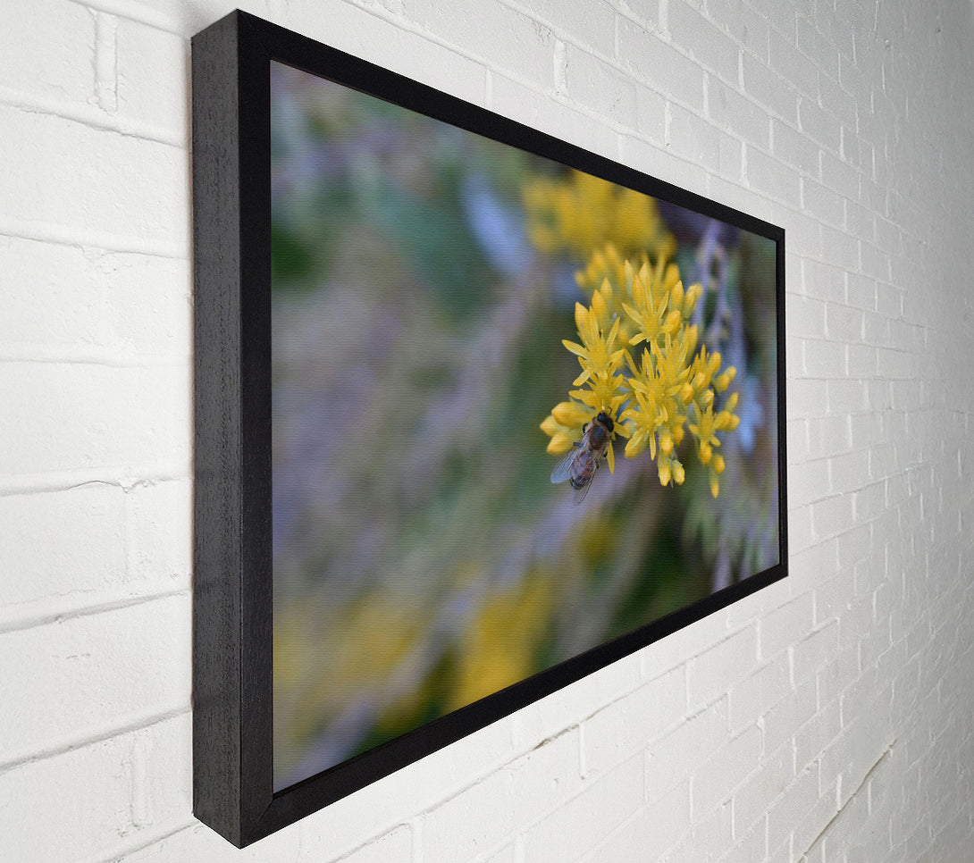  A Canvas Print of Golden Bee'S Bounty Canvas Wall Art