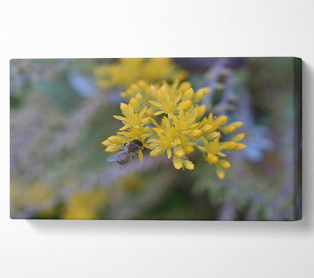  A Canvas Print of Golden Bee'S Bounty Canvas Wall Art