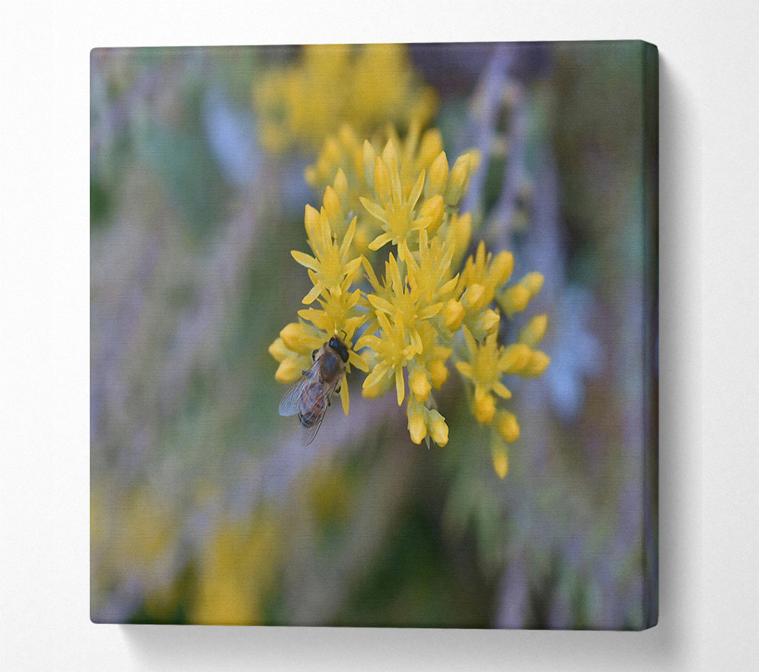  A Canvas Print of Golden Bee'S Bounty Canvas Wall Art