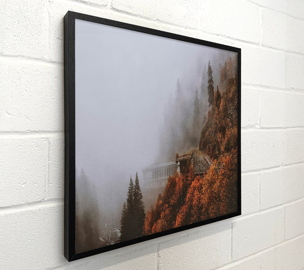 Autumn Foggy Structure