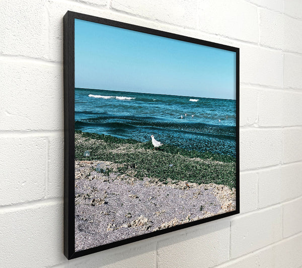Teal Shore Serenity