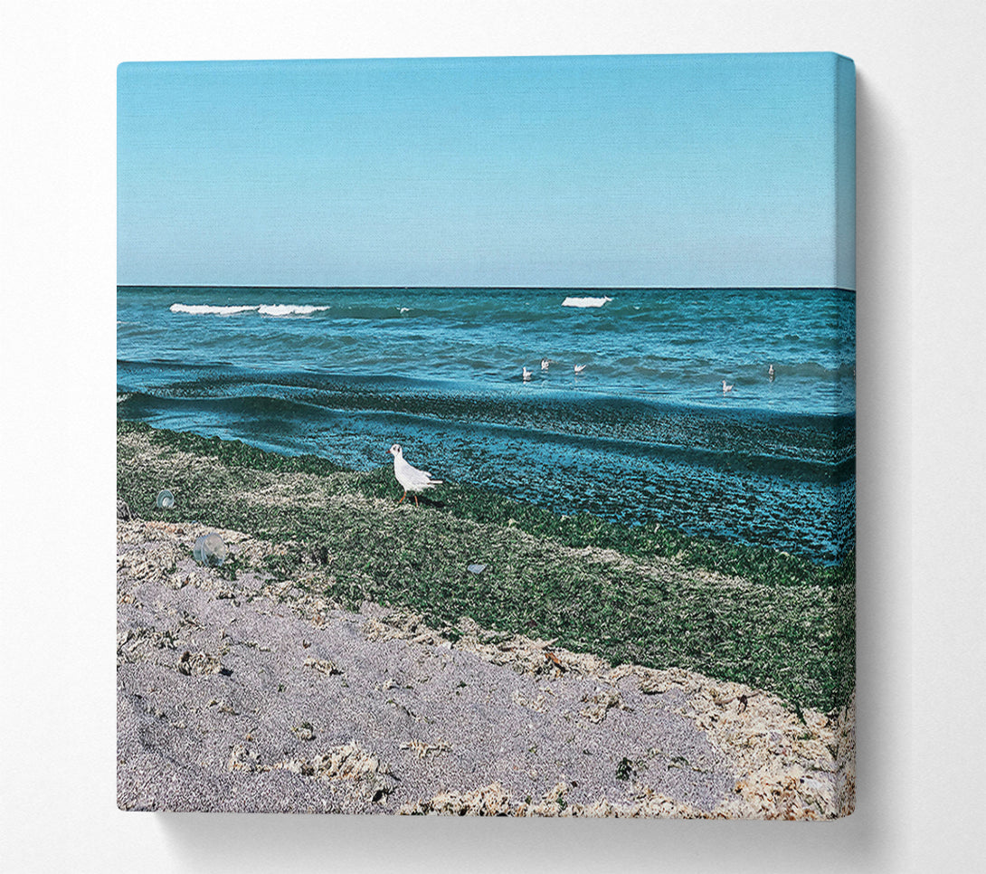  A Canvas Print of Teal Shore Serenity Canvas Wall Art