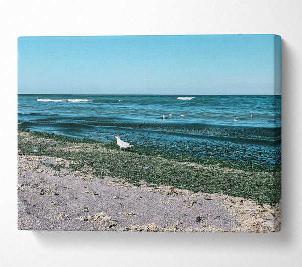  A Canvas Print of Teal Shore Serenity Canvas Wall Art