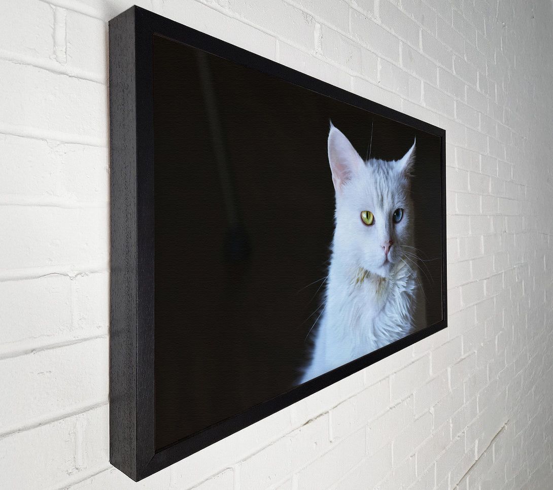  A Canvas Print of White Feline Gaze Canvas Art