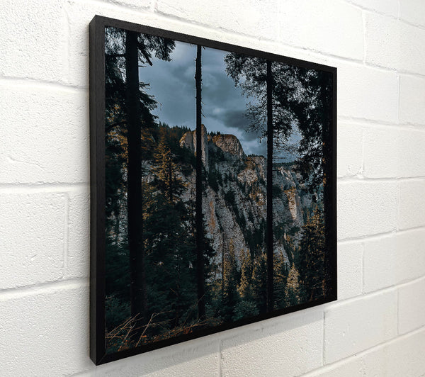 Grey Cliffs Through Trees