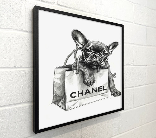 Black Frenchie In Chanel Bag