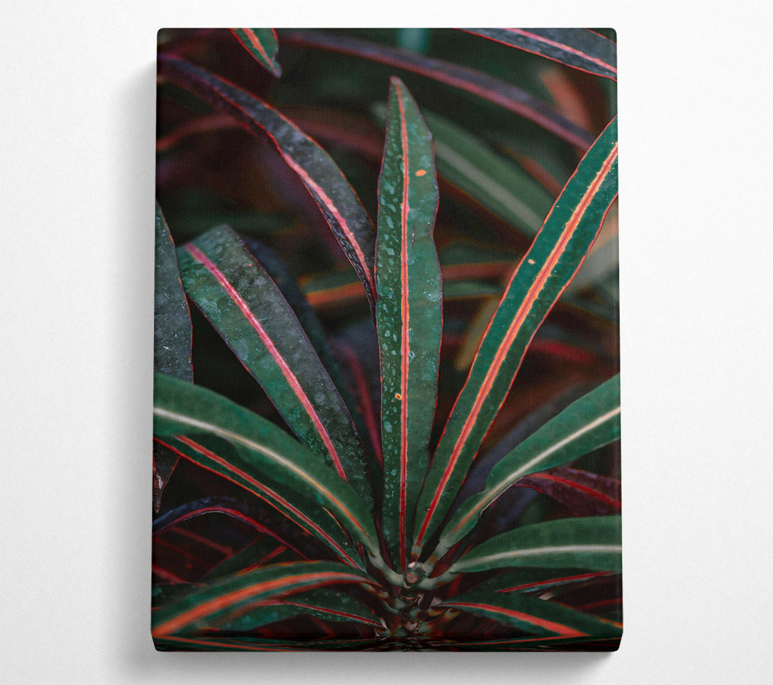  A Canvas Print of Crimson Leaf Symphony Canvas Wall Art