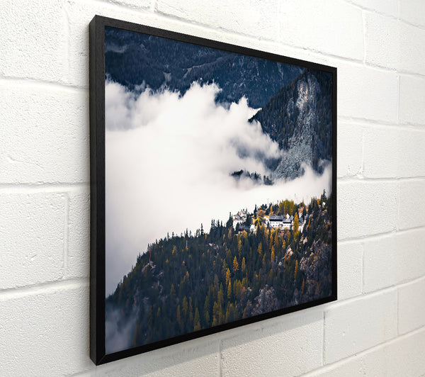 White Clouds Over Pines