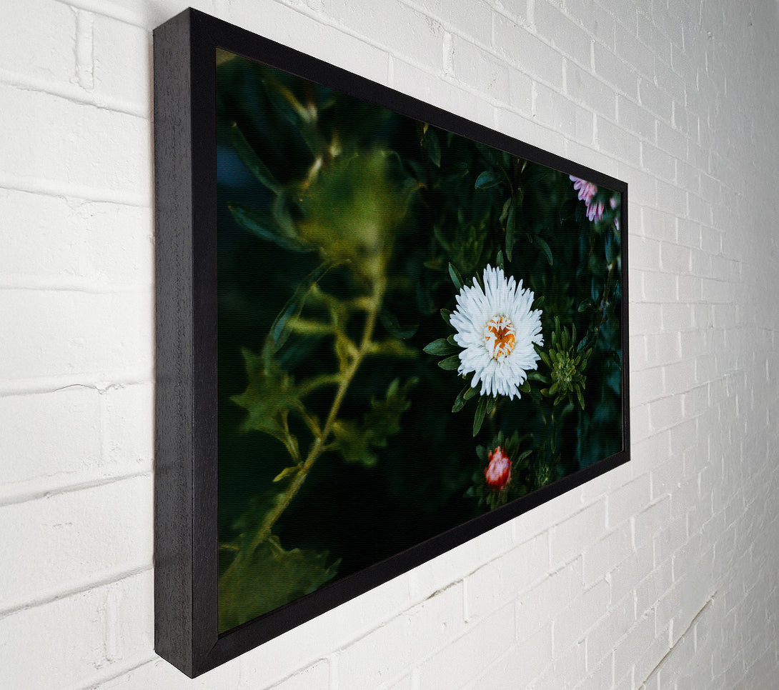  A Canvas Print of White Bloom In Green Canvas Print