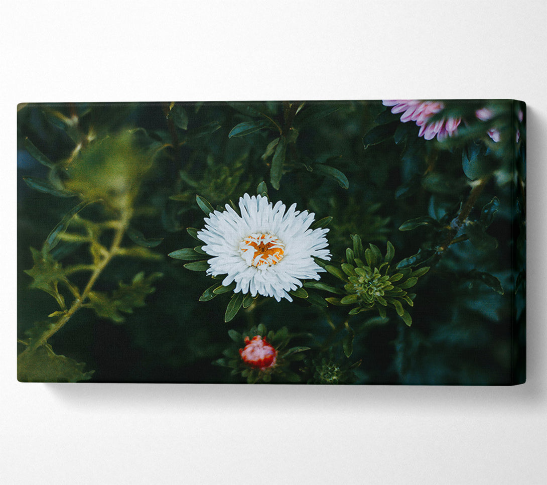  A Canvas Print of White Bloom In Green Canvas Print