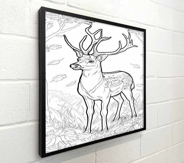 Brown Deer In The Woods