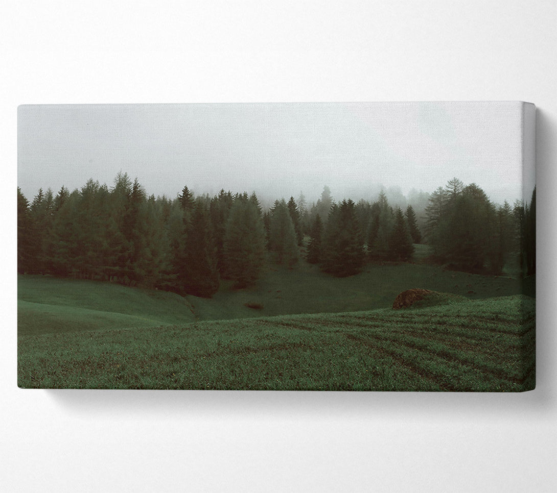  A Canvas Print of Emerald Foggy Forest Canvas Print