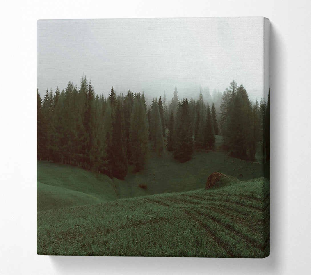  A Canvas Print of Emerald Foggy Forest Canvas Print