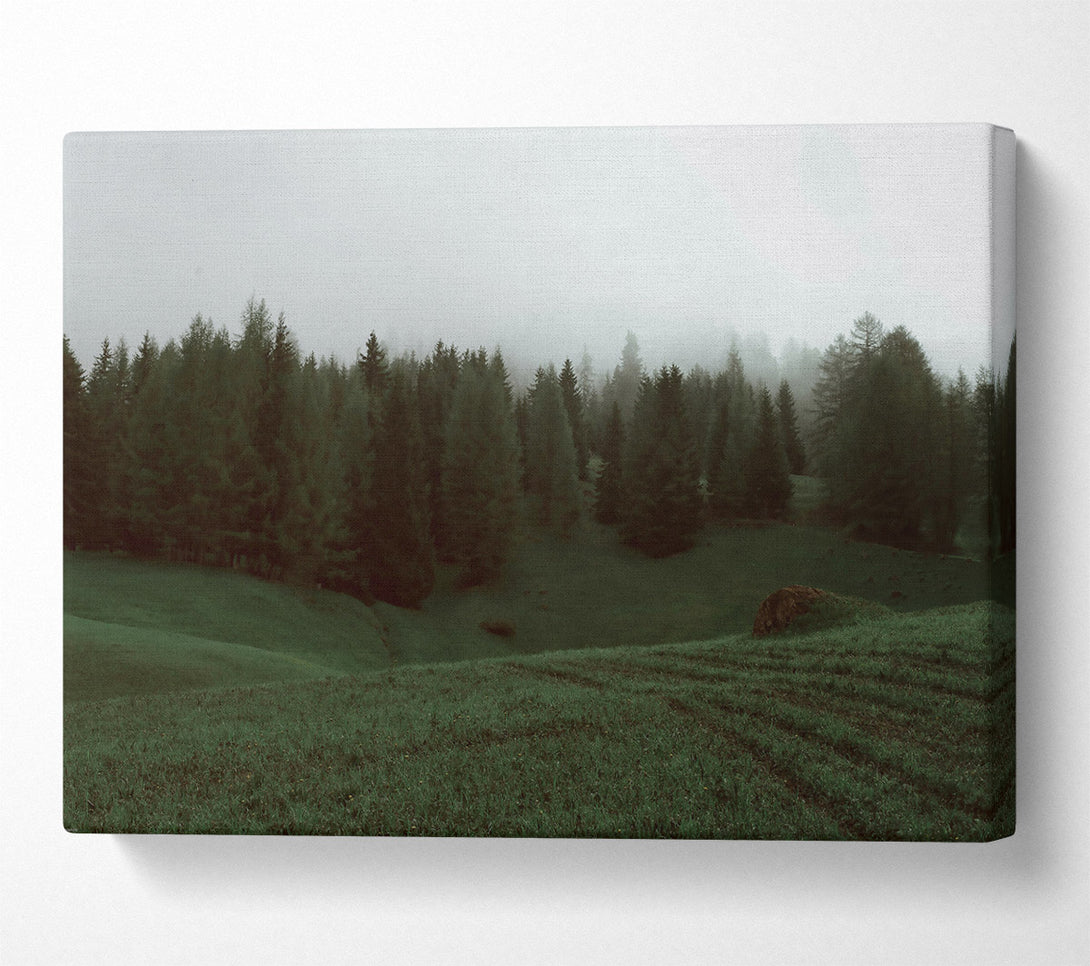  A Canvas Print of Emerald Foggy Forest Canvas Print