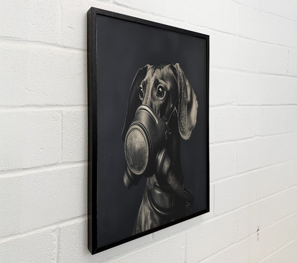 Daschound Gasmask